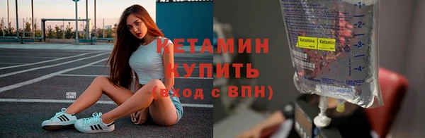 индика Богданович