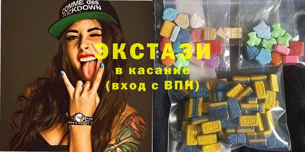 индика Богданович