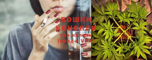 эйфоретик Белокуриха