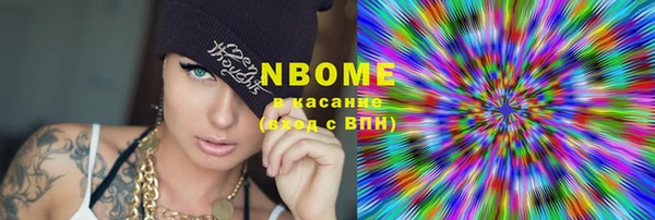 индика Богданович