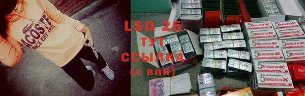 спайс Богородицк